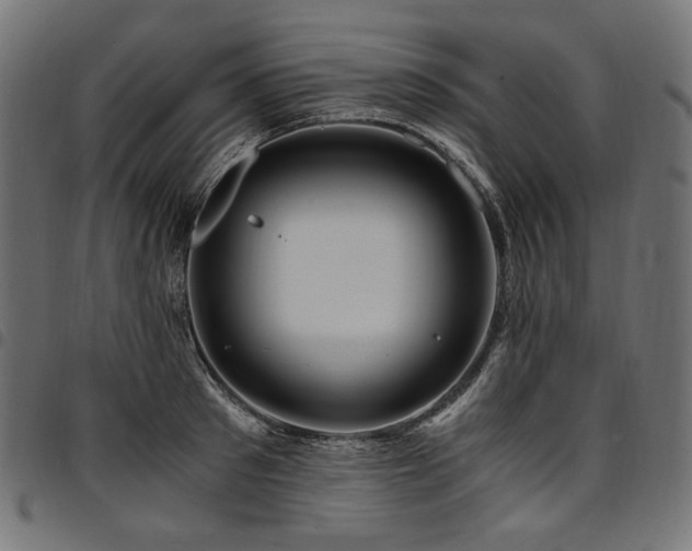 X0000095540897200712141522