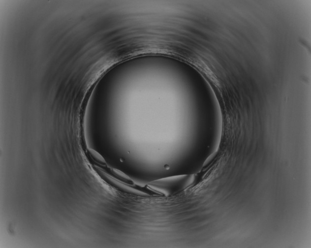 X0000095540898200712141522