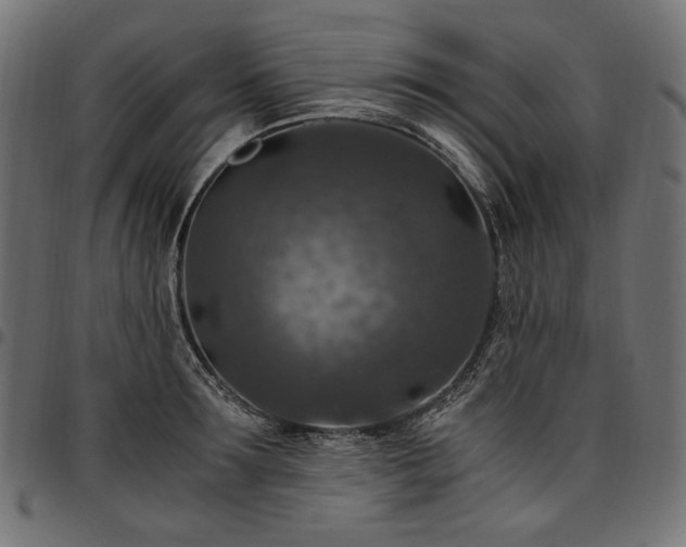 X0000095540899200712141522