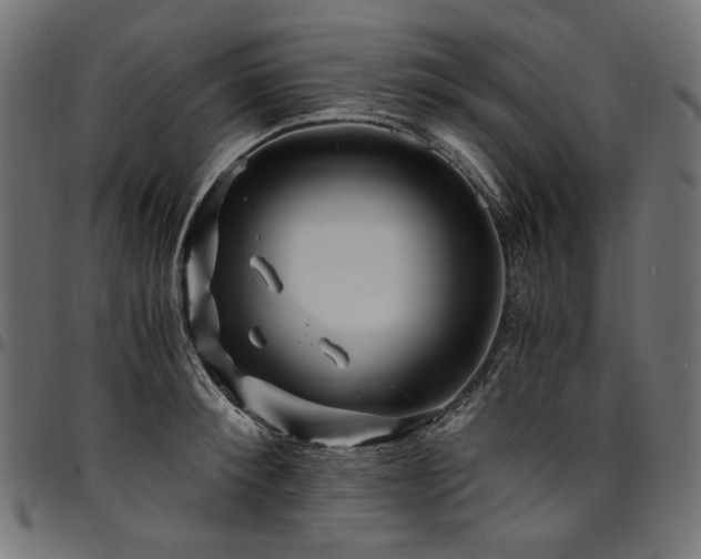 X0000095540900200712141522