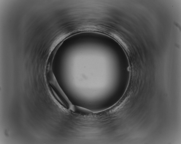 X0000095540901200712141522