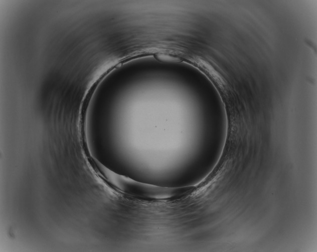 X0000095540902200712141522