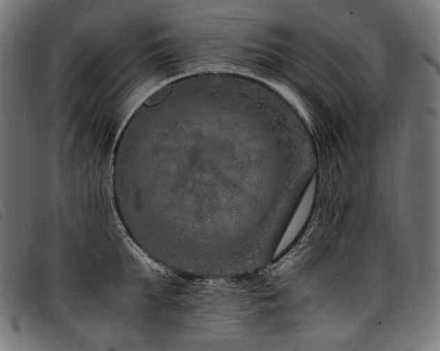 X0000095540903200712141522