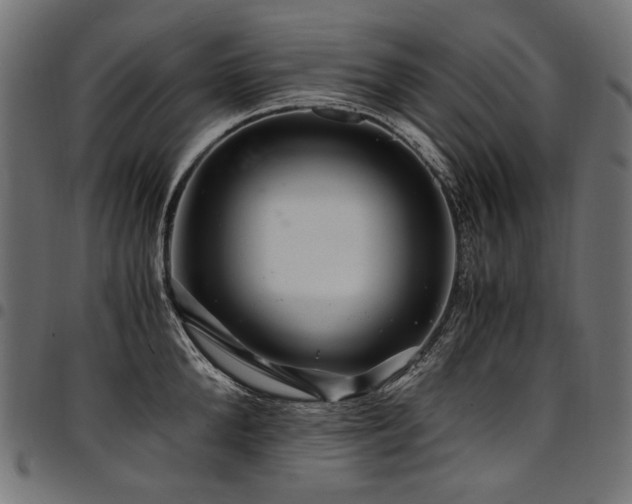 X0000095540904200712141522