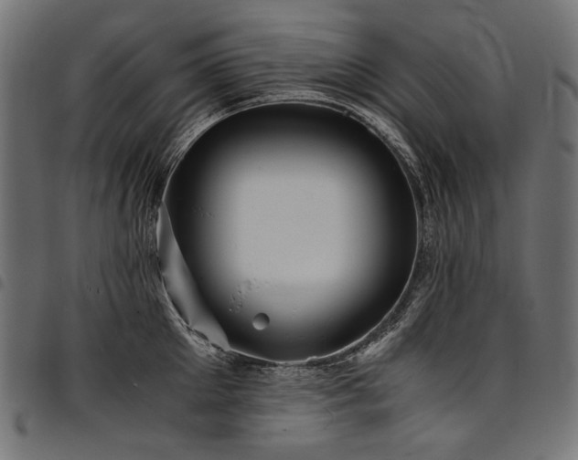 X0000095540905200712141522