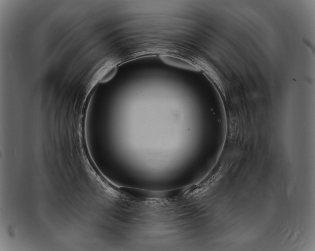 X0000095540906200712141522