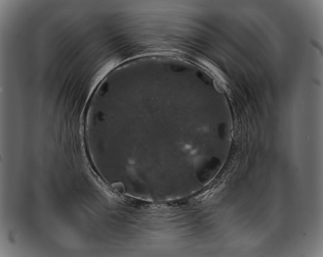 X0000095540907200712141522