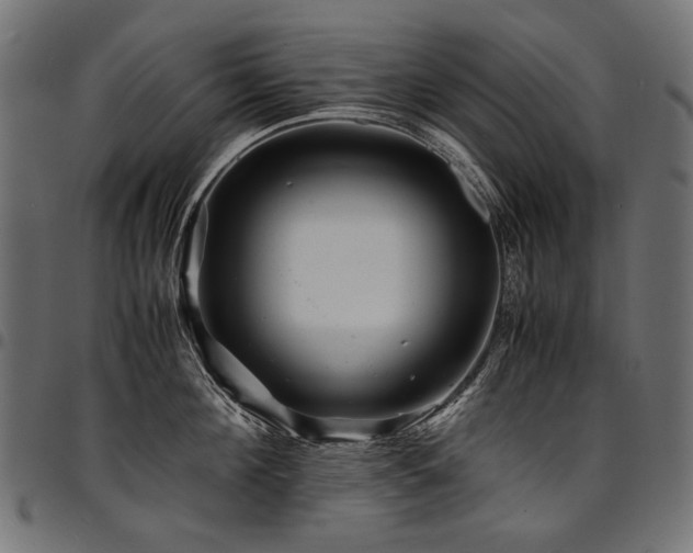 X0000095540908200712141522