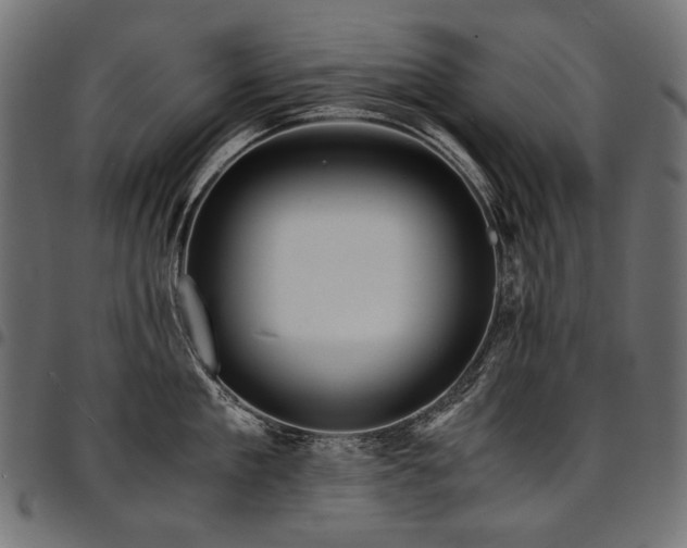 X0000095540909200712141522