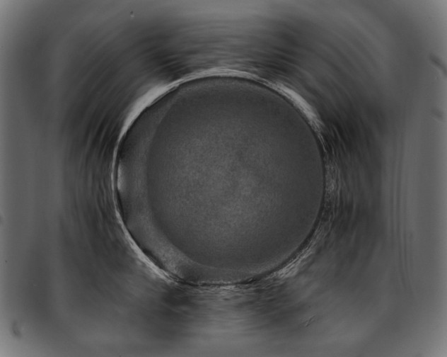 X0000095540910200712141522