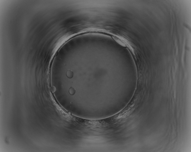 X0000095540911200712141522