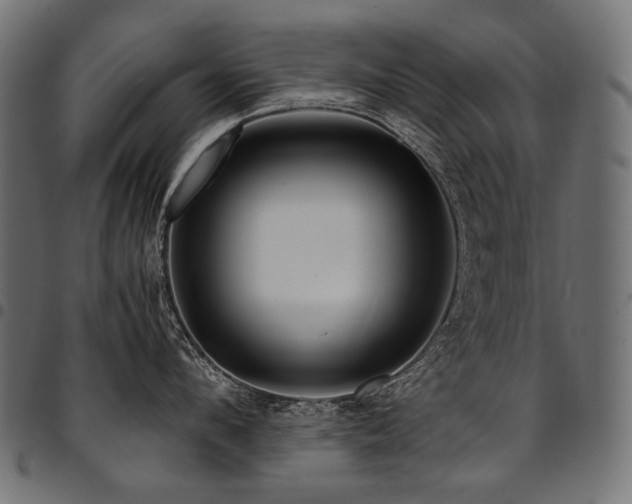 X0000095540912200712141522