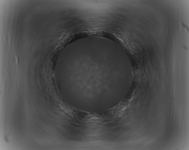 X0000095540913200712141521