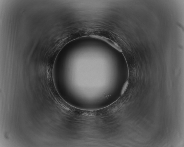 X0000095540914200712141521