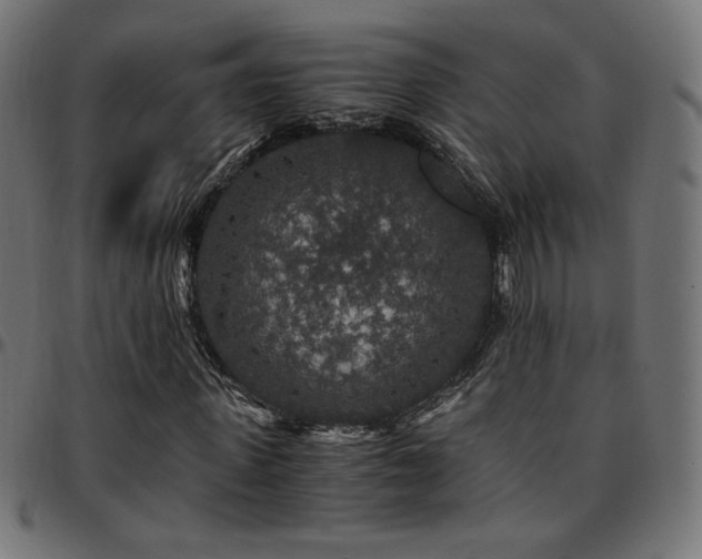 X0000095540915200712141521