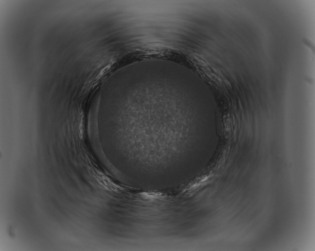 X0000095540916200712141521