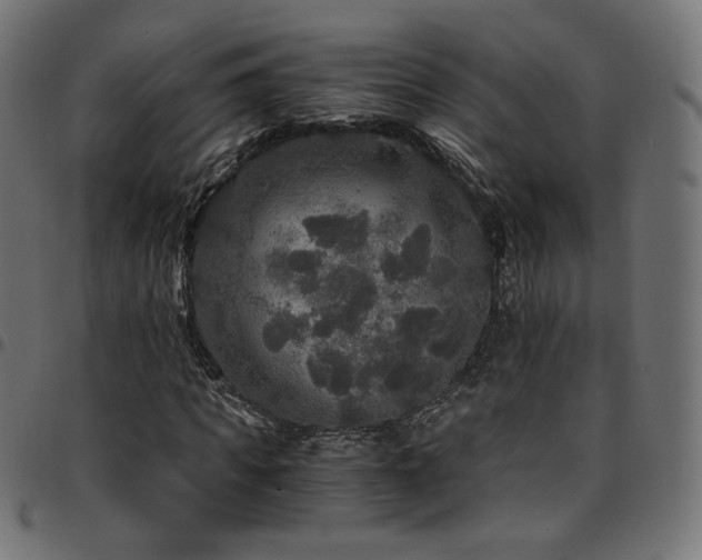 X0000095540917200712141521