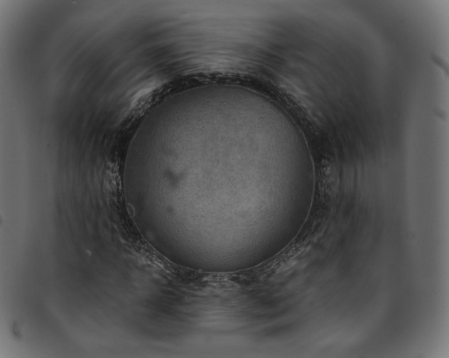 X0000095540918200712141521