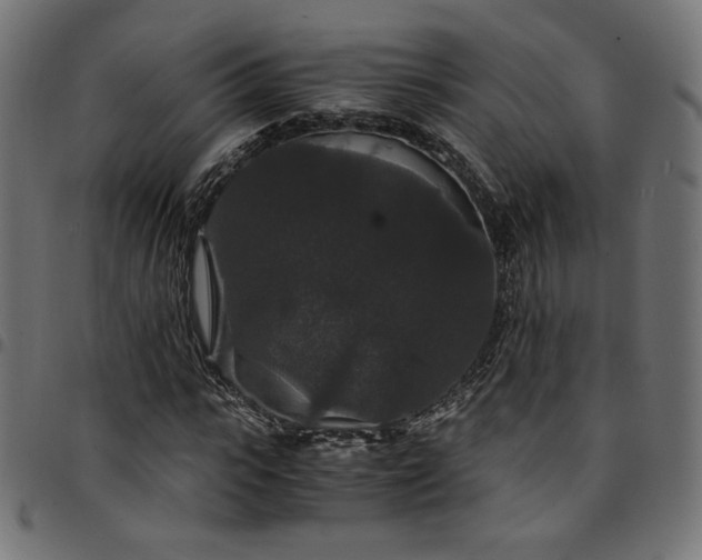 X0000095540919200712141521