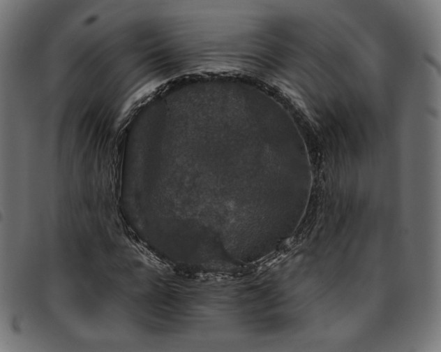 X0000095540920200712141521