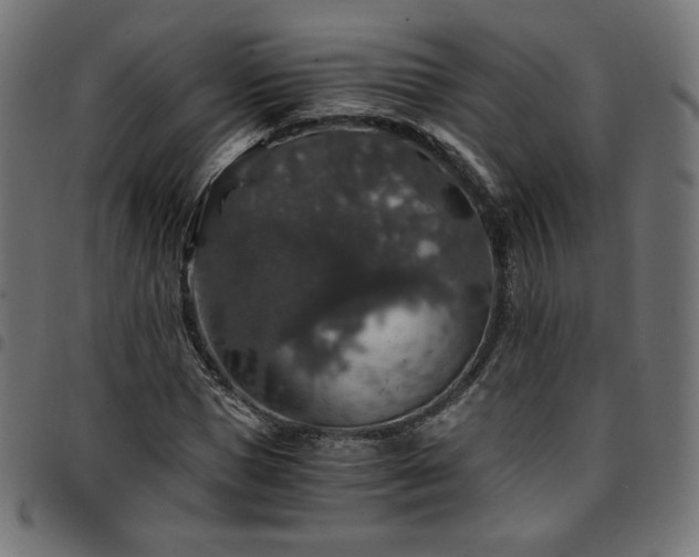 X0000095540921200712141521