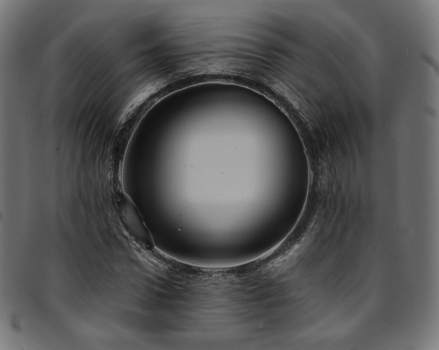 X0000095540922200712141521