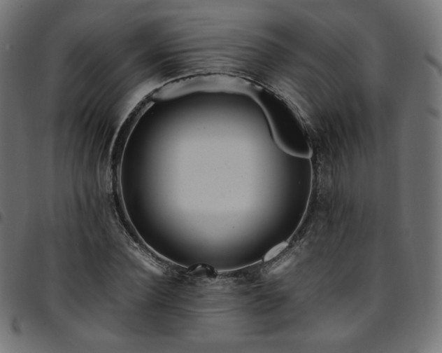 X0000095540924200712141521