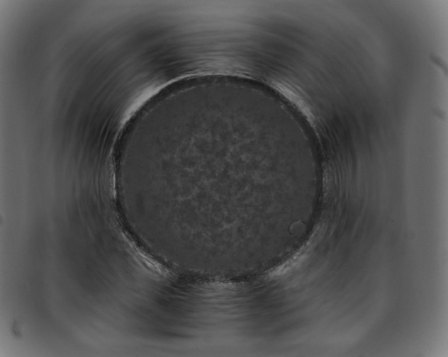 X0000095540925200712141521