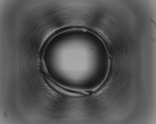 X0000095540926200712141521