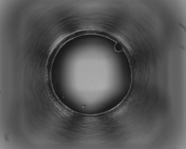 X0000095540927200712141521