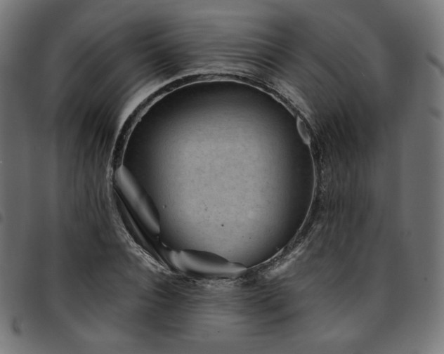 X0000095540928200712141521