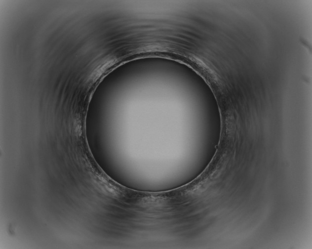 X0000095540929200712141521