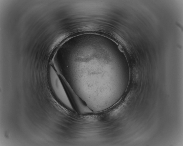 X0000095540930200712141521