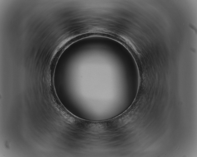 X0000095540931200712141521