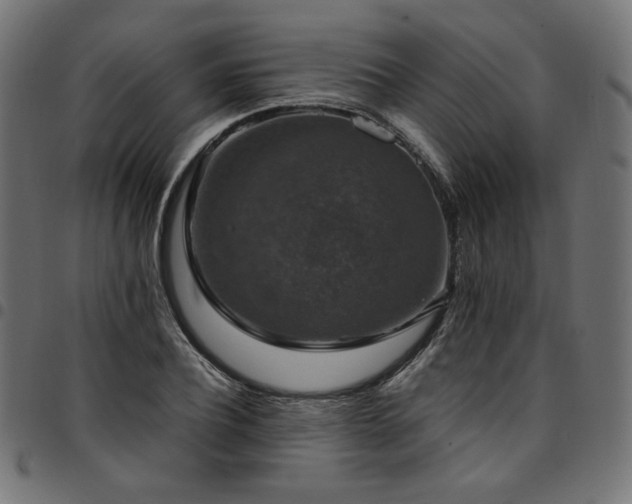 X0000095540932200712141521