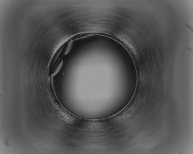 X0000095540933200712141521