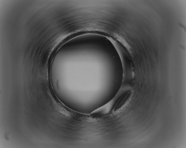 X0000095540934200712141521