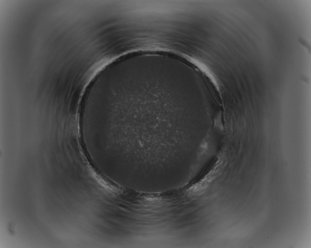 X0000095540935200712141521