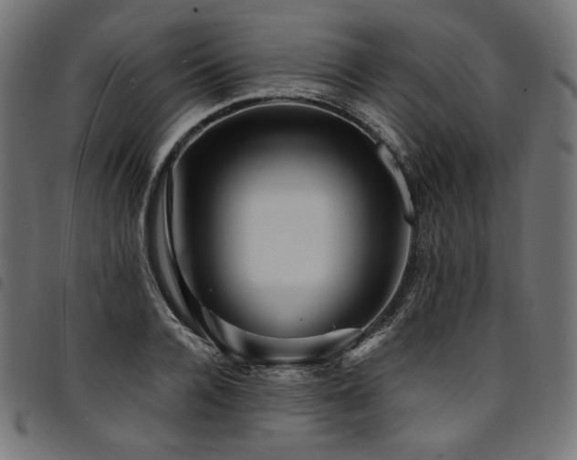 X0000095540936200712141521