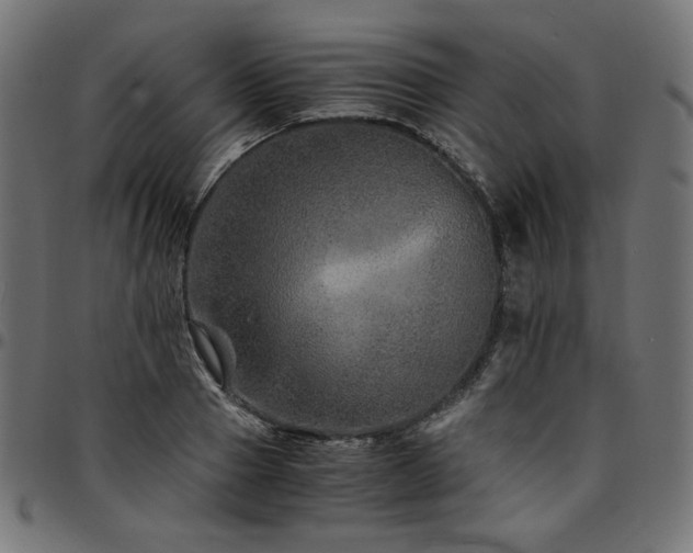 X0000095540937200712141521