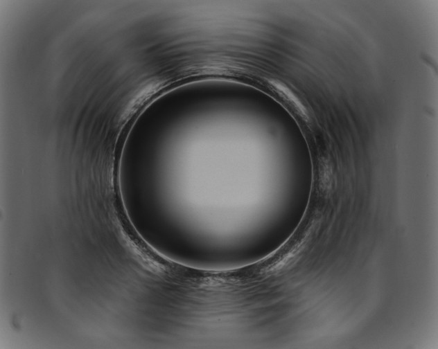 X0000095540938200712141521