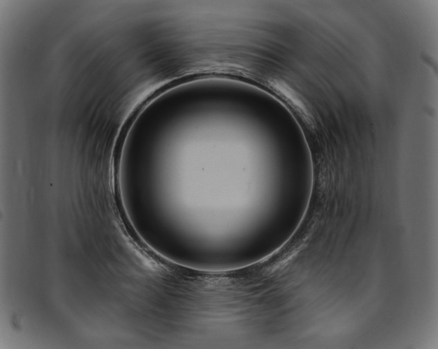 X0000095540940200712141521