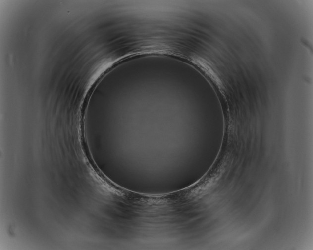 X0000095540941200712141521