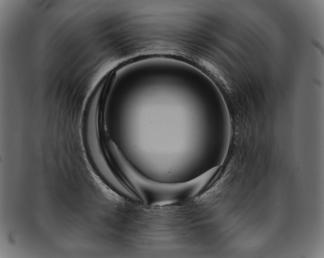 X0000095540942200712141522