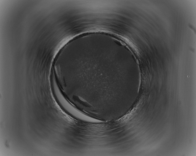 X0000095540943200712141522