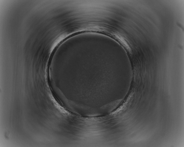 X0000095540944200712141522