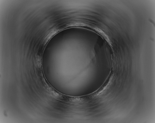 X0000095540945200712141522