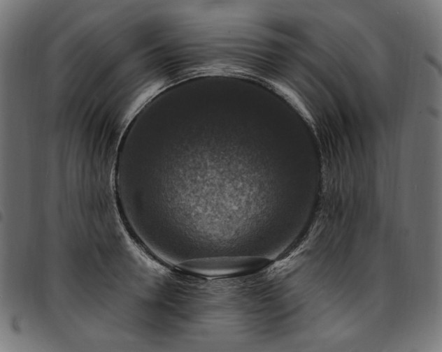 X0000095540946200712141522