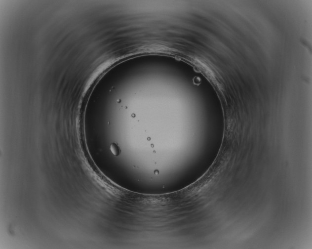 X0000095540947200712141522