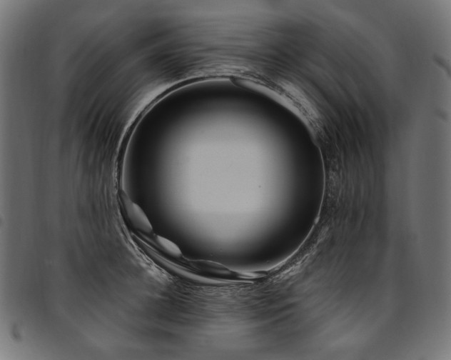 X0000095540948200712141522